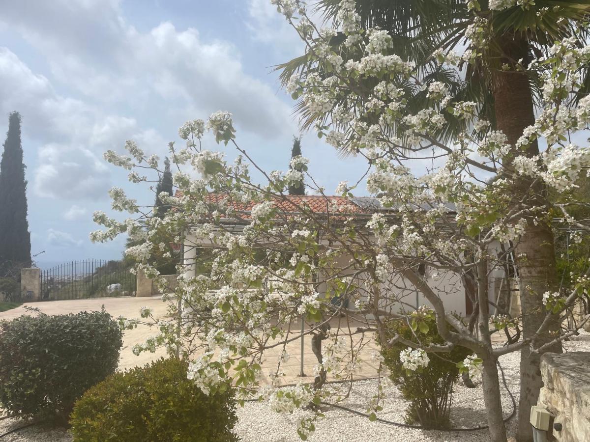 Beautiful Home Paphos Extérieur photo