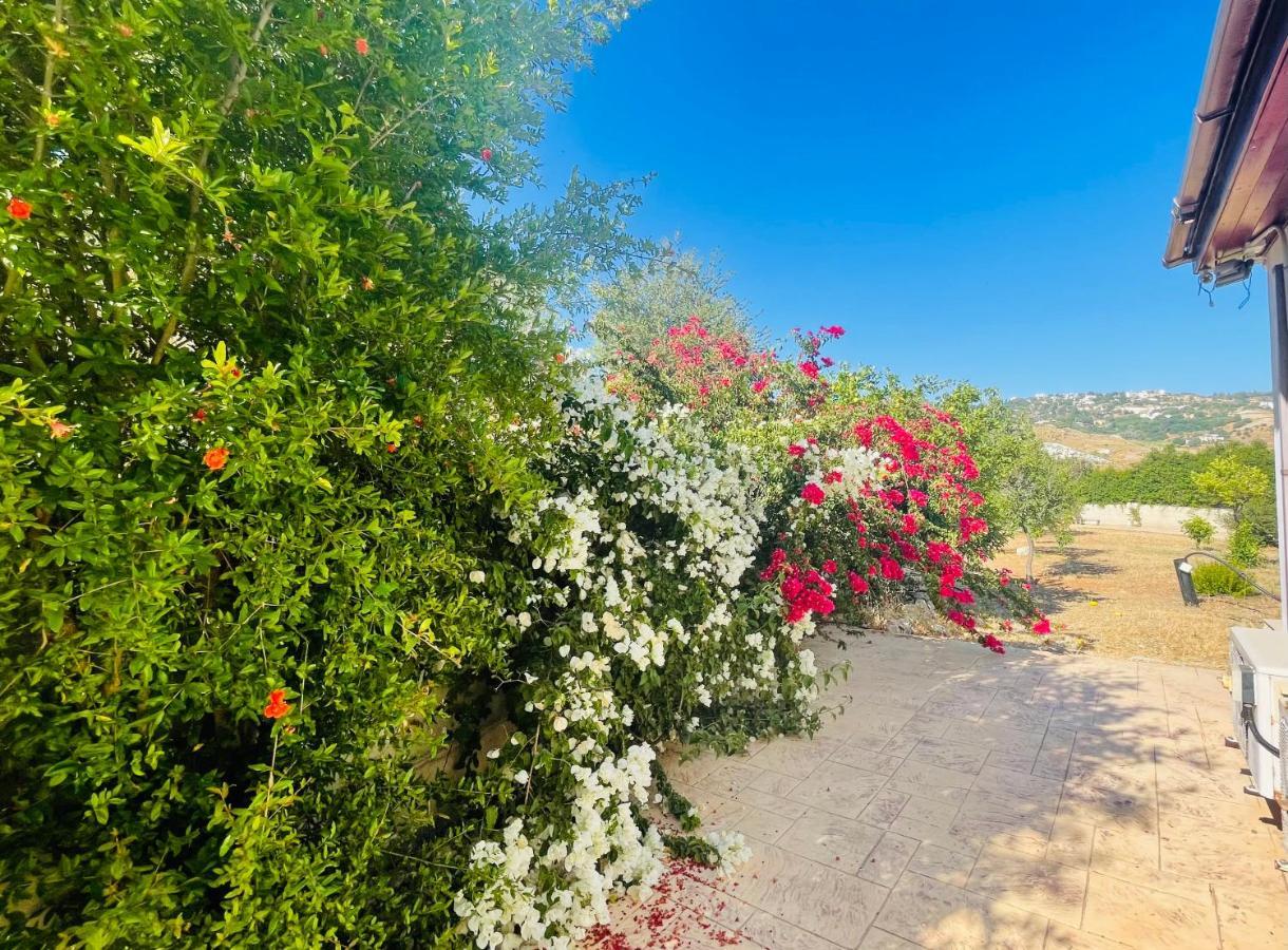 Beautiful Home Paphos Extérieur photo
